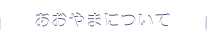株式会社あおやまについて